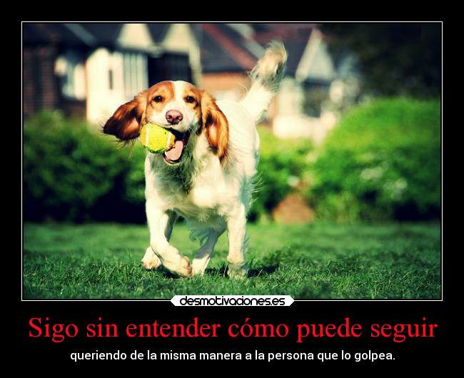 Sigo sin entender cómo puede seguir - 