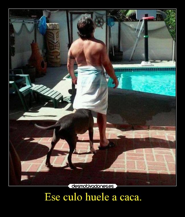 Ese culo huele a caca. - 