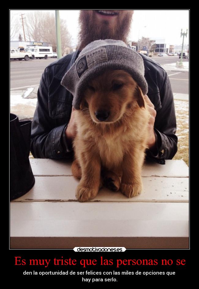 Es muy triste que las personas no se - den la oportunidad de ser felices con las miles de opciones que
hay para serlo.