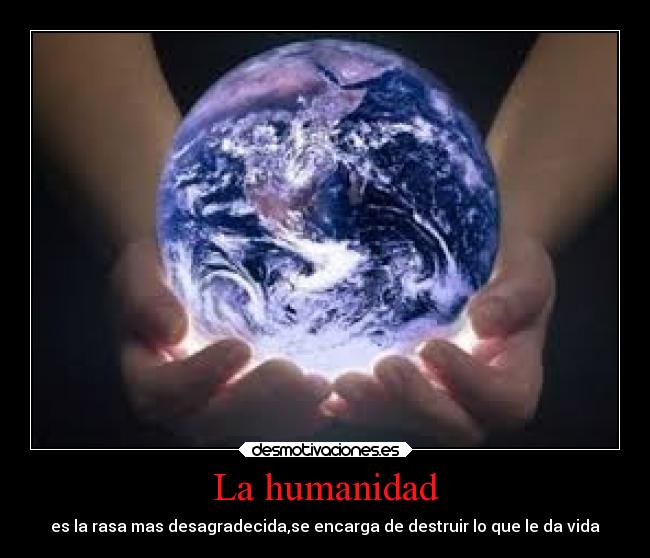 carteles desmotivaciones desmotivaciones