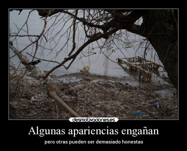 Algunas apariencias engañan -