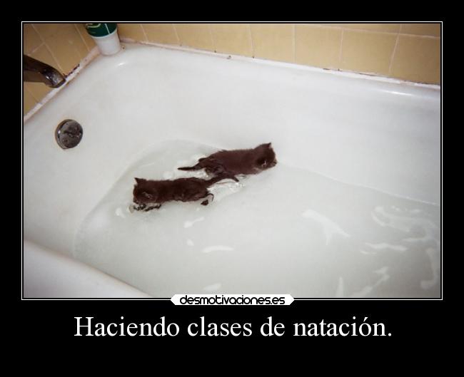 Haciendo clases de natación. - 