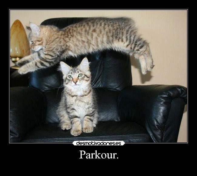 Parkour. - 