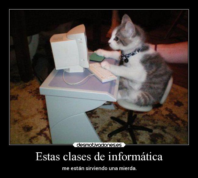 Estas clases de informática - me están sirviendo una mierda.