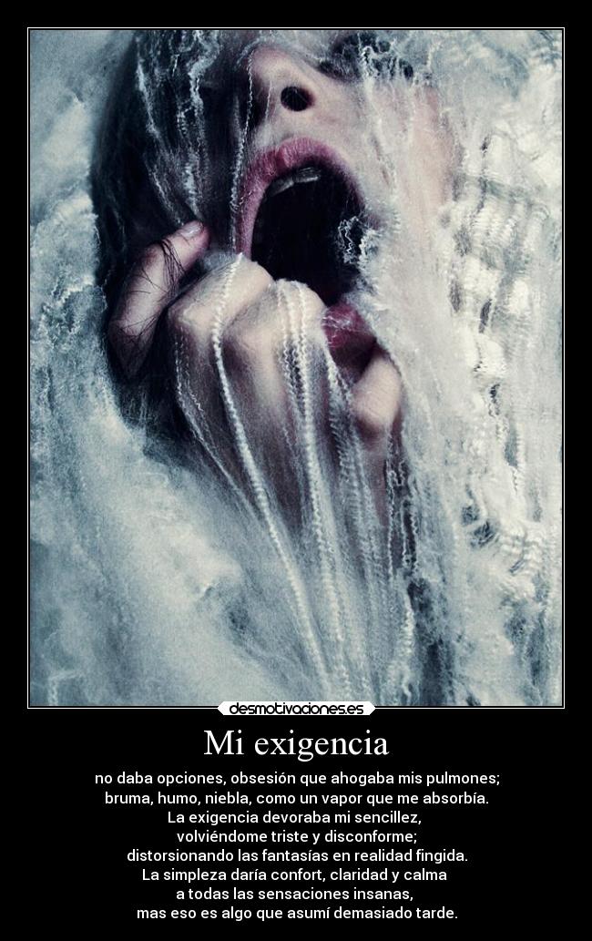 Mi exigencia - no daba opciones, obsesión que ahogaba mis pulmones;
bruma, humo, niebla, como un vapor que me absorbía.
La exigencia devoraba mi sencillez, 
volviéndome triste y disconforme;
distorsionando las fantasías en realidad fingida.
La simpleza daría confort, claridad y calma 
a todas las sensaciones insanas, 
mas eso es algo que asumí demasiado tarde.