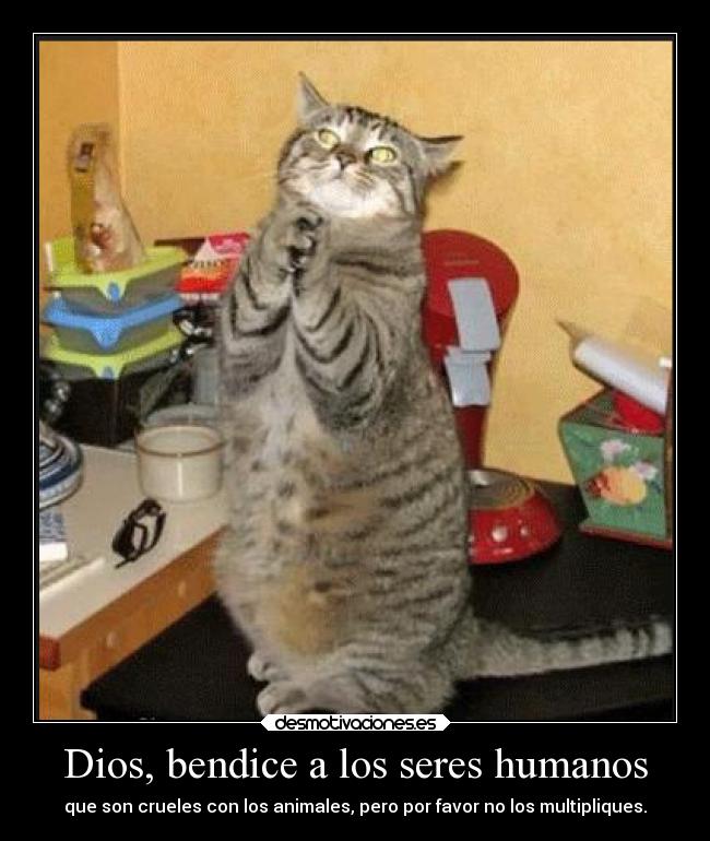 Dios, bendice a los seres humanos -