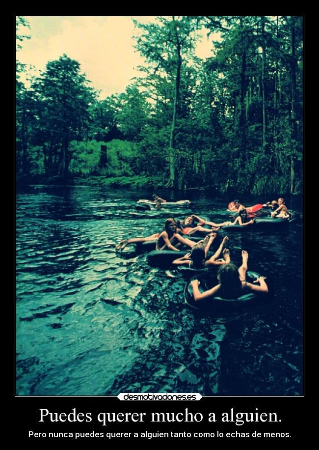 carteles distancia amistad amor desmotivaciones