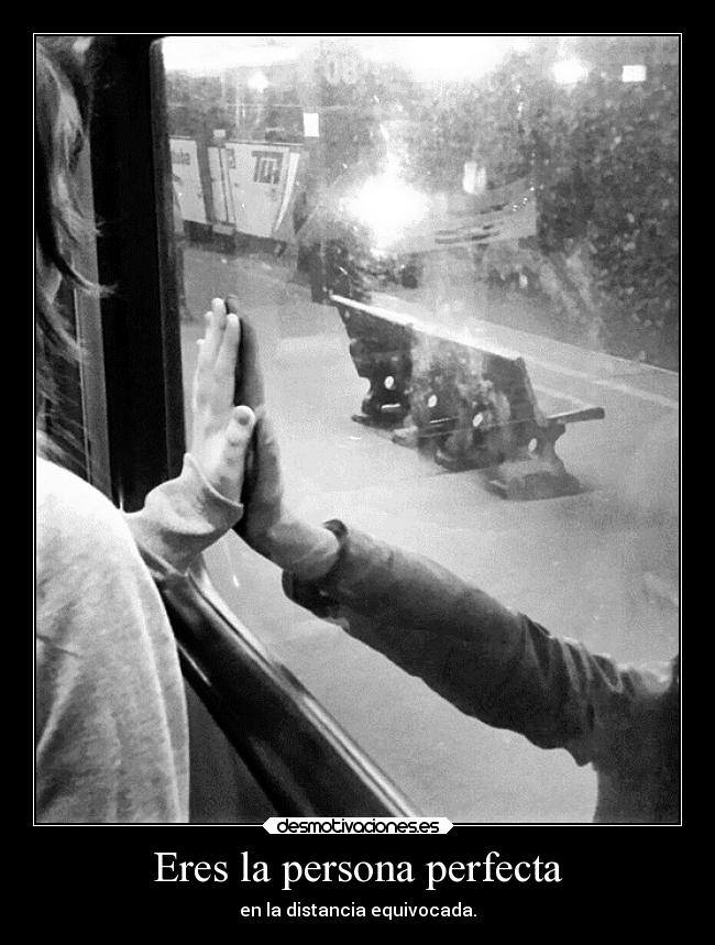 Eres la persona perfecta -