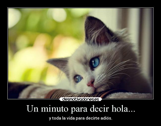 Un minuto para decir hola... - y toda la vida para decirte adiós.
