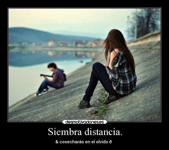 Siembra distancia. -