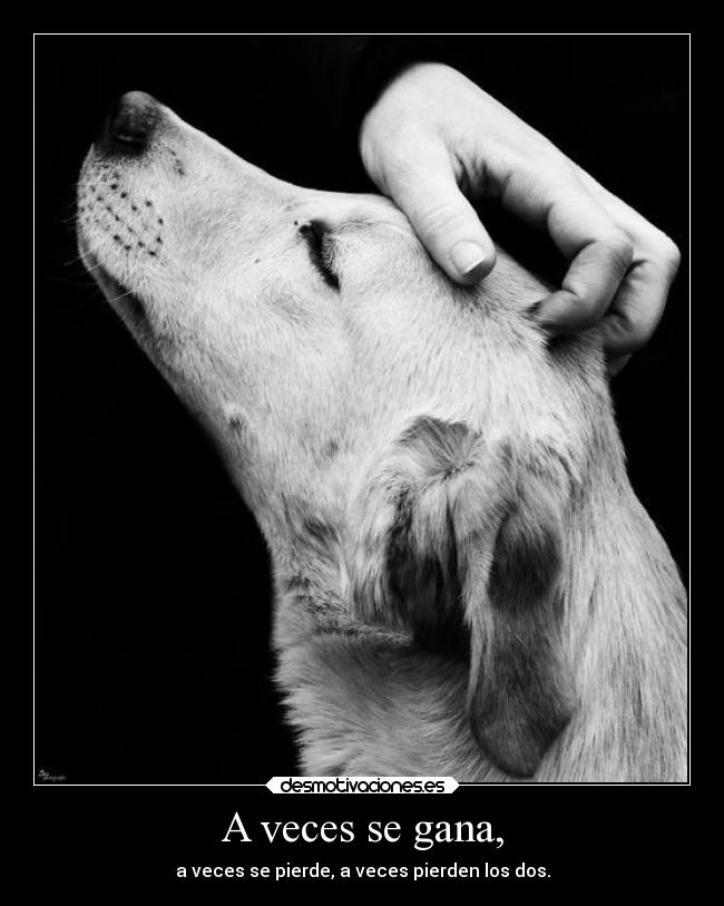 A veces se gana, -