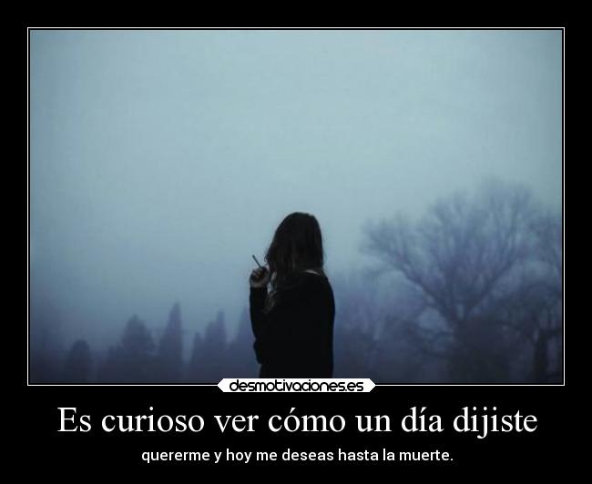 carteles dolor meriopornollorar patos pene putasetiquetas desmotivaciones