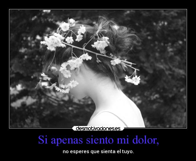 Si apenas siento mi dolor, - no esperes que sienta el tuyo.