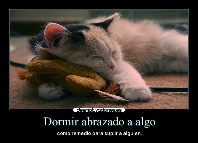carteles dormir dormir gato monada suplir remedio cura abrazar anoro desmotivaciones