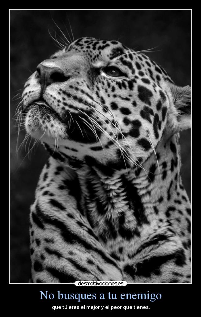 No busques a tu enemigo -