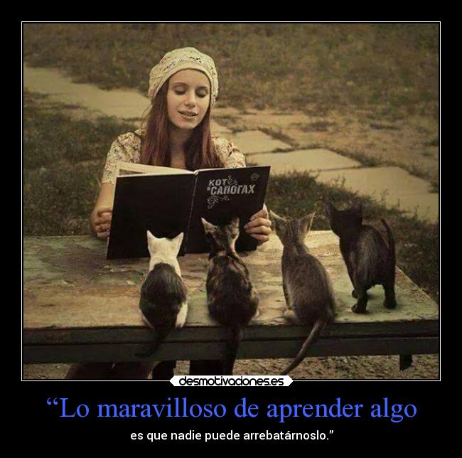 “Lo maravilloso de aprender algo - es que nadie puede arrebatárnoslo.”