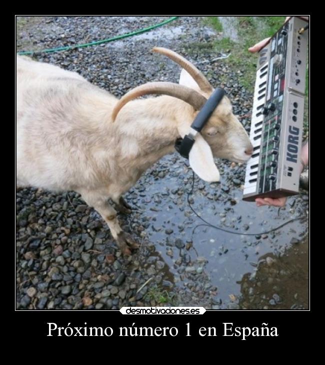 carteles espana musica sexo bogota humor tras kiko rivera xddddd eften mouser cabra desmotivaciones