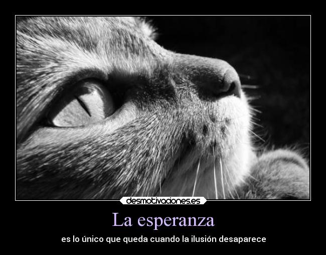La esperanza - es lo único que queda cuando la ilusión desaparece