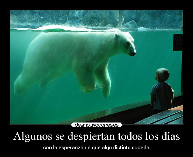 carteles esperanza despertar mujerhombre shitday noquiero meaburro unoso lol quieroiralzoo desmotivaciones