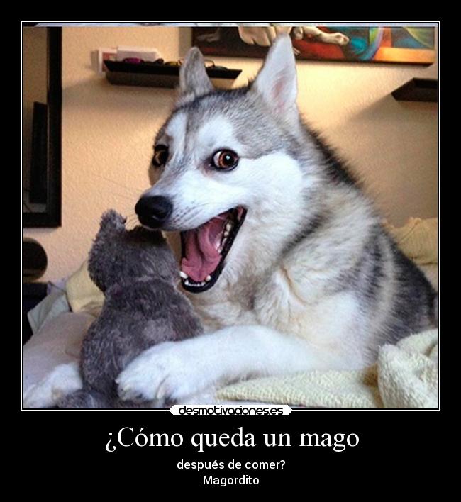 ¿Cómo queda un mago -