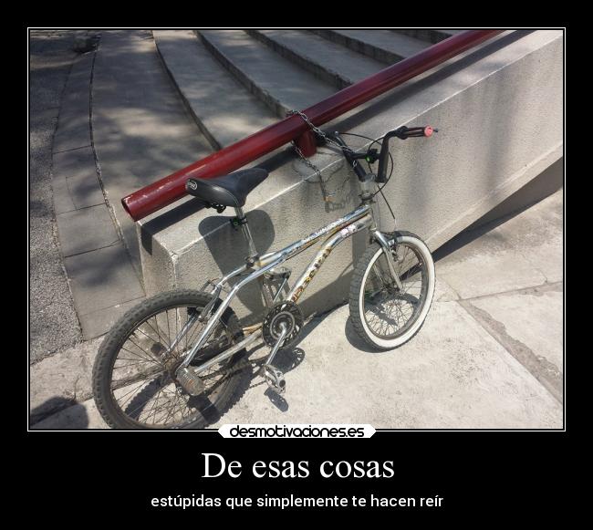 De esas cosas - estúpidas que simplemente te hacen reír