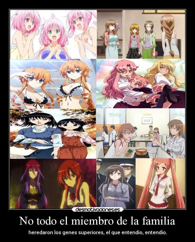 carteles familia anime toloveru dfrag date live zero tsukaima school rumble toarukagakunorailgun desmotivaciones
