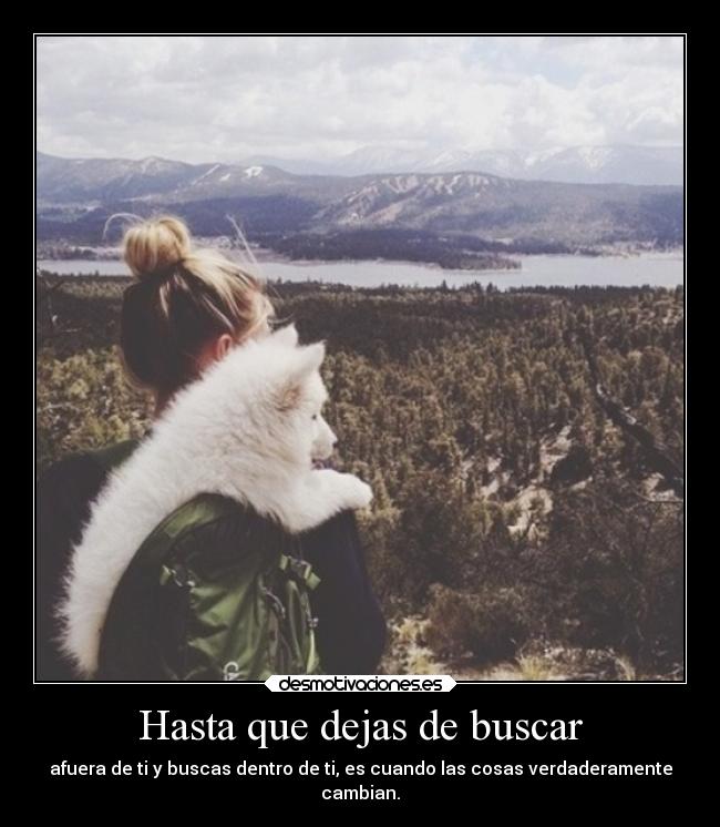 carteles felicidad buscar sandymercury desmotivaciones