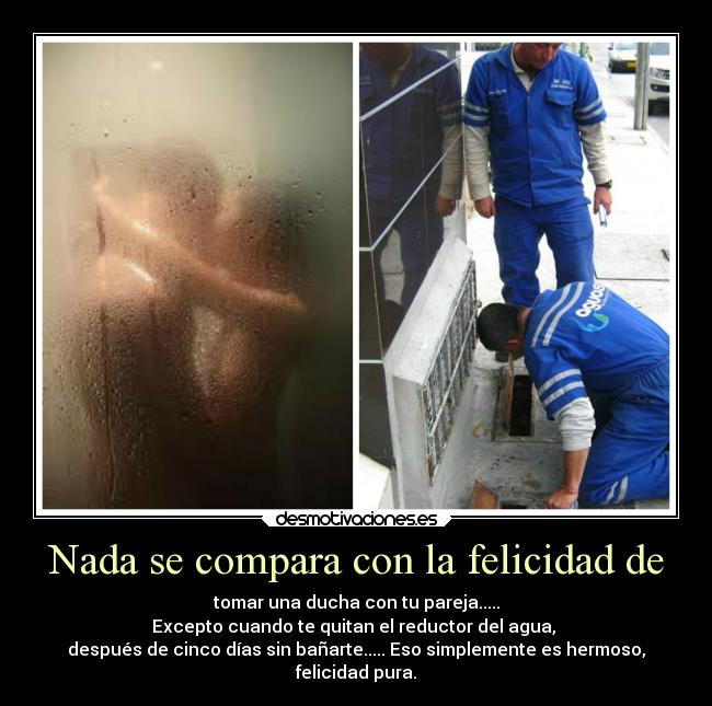 Nada se compara con la felicidad de - 