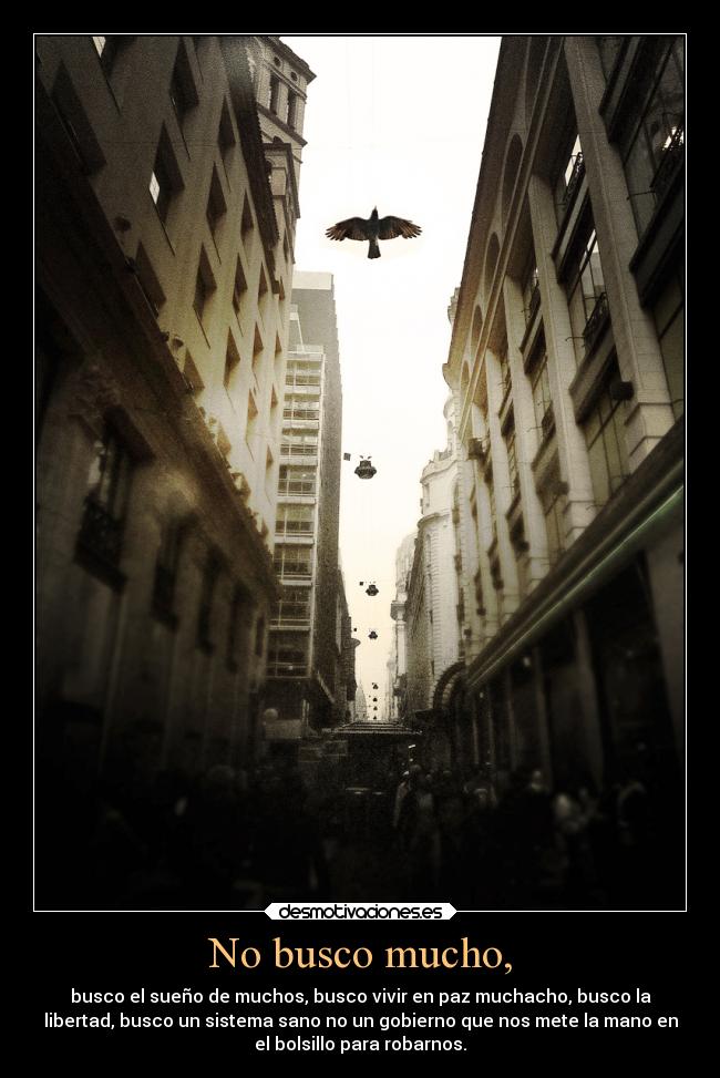 No busco mucho, -