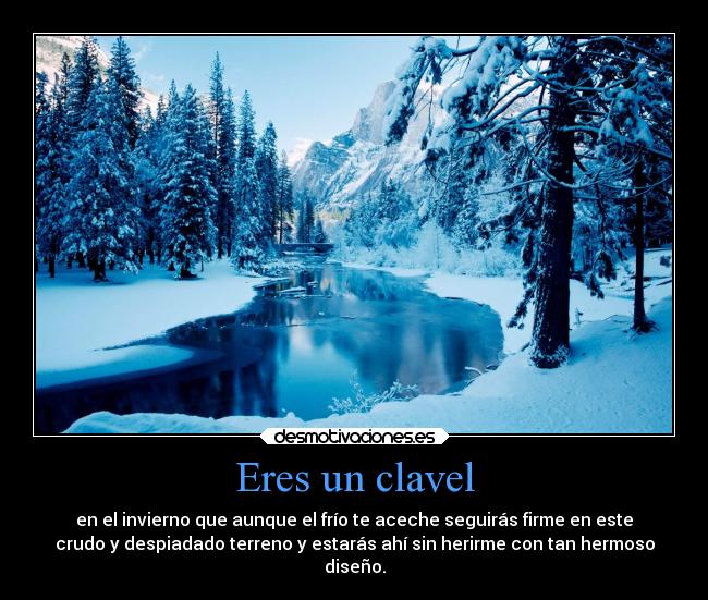 Eres un clavel - en el invierno que aunque el frío te aceche seguirás firme en este
crudo y despiadado terreno y estarás ahí sin herirme con tan hermoso
diseño.