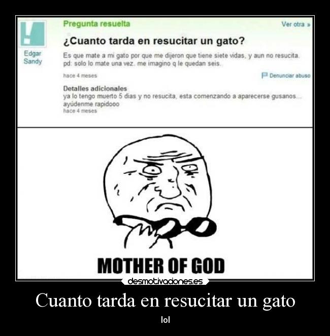Cuanto tarda en resucitar un gato -