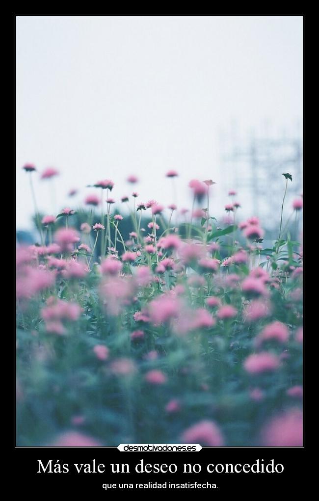 carteles frases deseos concedidos realidad laprincesita desmotivaciones