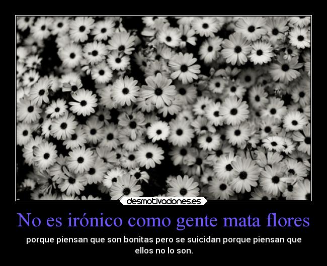 No es irónico como gente mata flores -