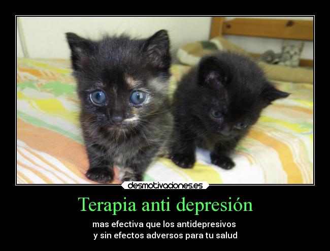 Terapia anti depresión - mas efectiva que los antidepresivos
y sin efectos adversos para tu salud