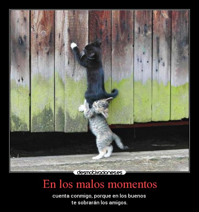 En los malos momentos - cuenta conmigo, porque en los buenos 
te sobrarán los amigos.