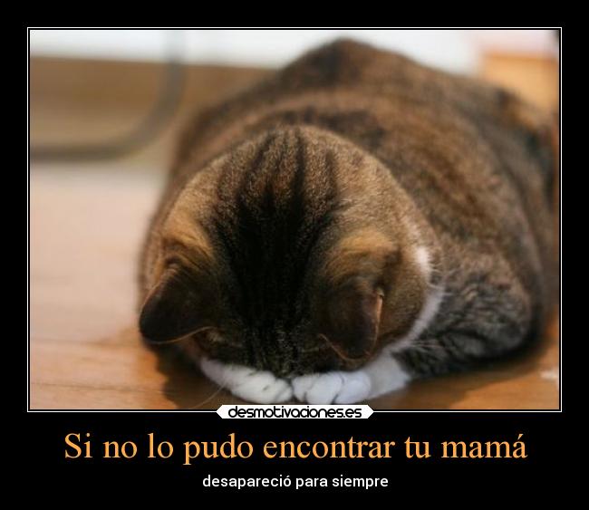 Si no lo pudo encontrar tu mamá - desapareció para siempre