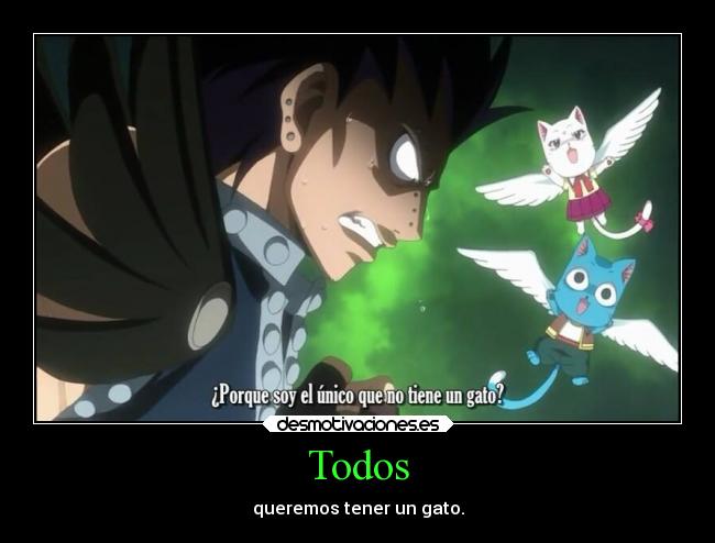 Todos - queremos tener un gato.
