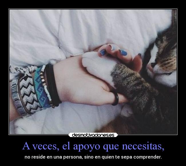 carteles gatos apoyo necesidad persona comprension jarl guebolucionarios jum melocoton desmotivaciones