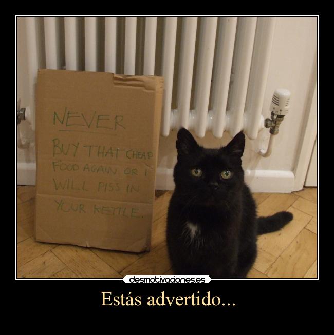 carteles gatos desmo sinideas clandesplazado soyunidiotatm clancabezaslocas happyretards todossomosnico86 desmotivaciones