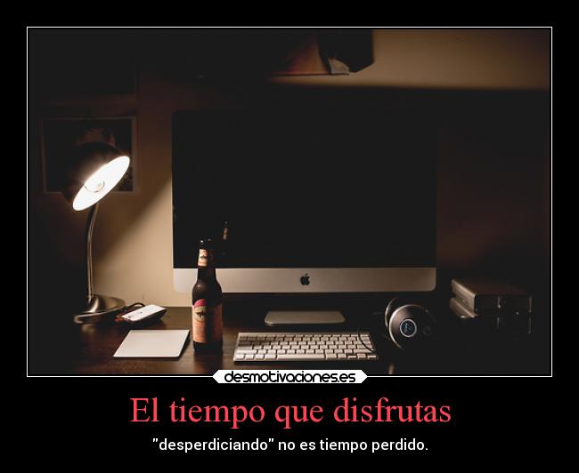 carteles gatos desmotivaciones wastedtime desmotivaciones