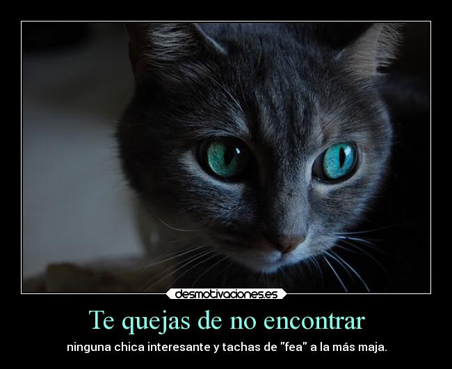 Te quejas de no encontrar - ninguna chica interesante y tachas de fea a la más maja.