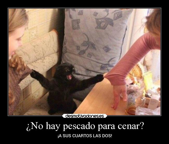 ¿No hay pescado para cenar? - ¡A SUS CUARTOS LAS DOS!