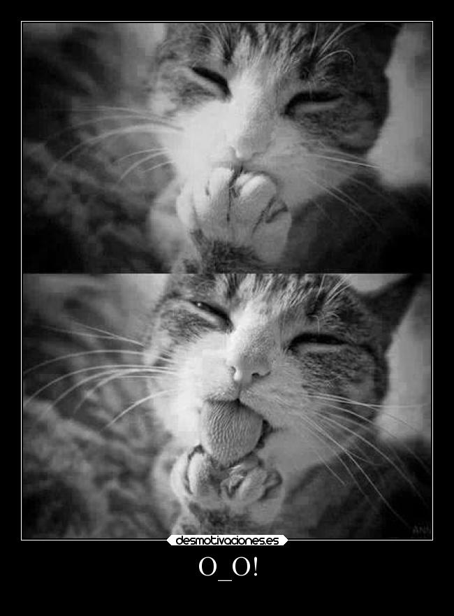 O_O! - 