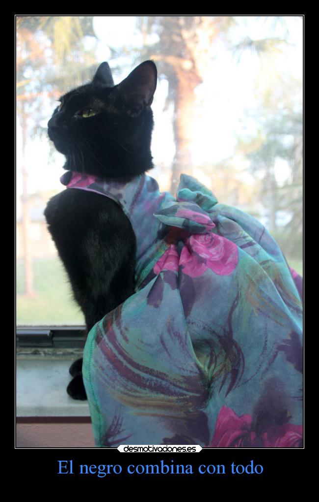 El negro combina con todo - 