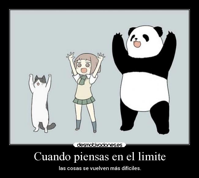 carteles gatos sonrisa vida alegria kawaii pandicorniorosadollenodeesmeraldas pandas desmotivaciones