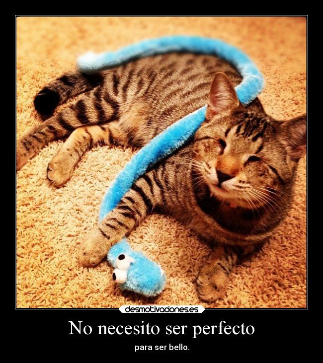 No necesito ser perfecto -