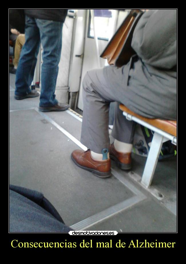 carteles graciosas desmotivaciones