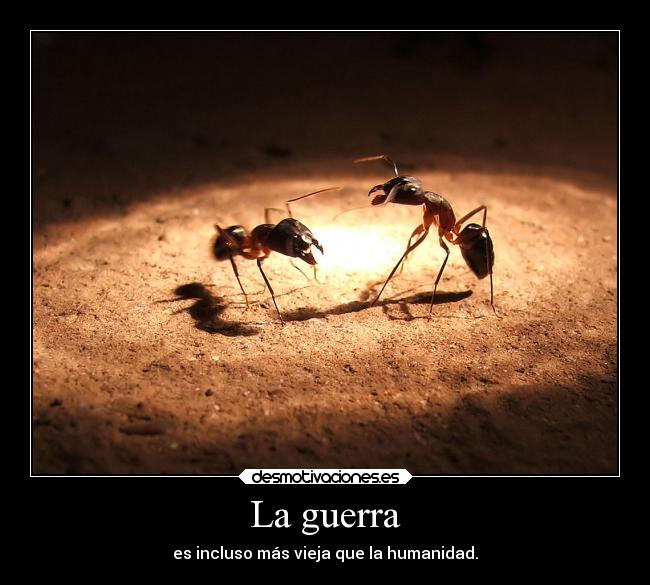 La guerra - es incluso más vieja que la humanidad.
