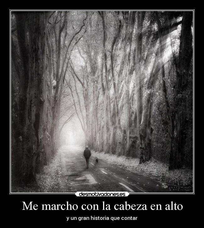 carteles historia contar memarcho adios desmotivaciones