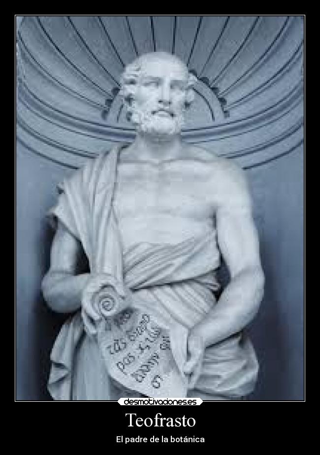 Teofrasto - El padre de la botánica